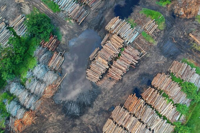 Brazylii grzywny w przełomowej sprawie klimatycznej

