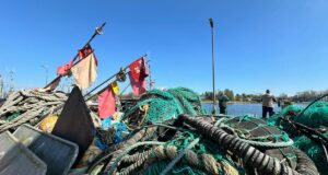 Diaoyu Port Capeln: Danii metoda ratowania?


