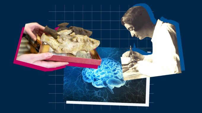 Pioneer of Brain Research: How Frankfurt Jüdin Tilly Edinger buduje nową naukę | Hessenschau.de

