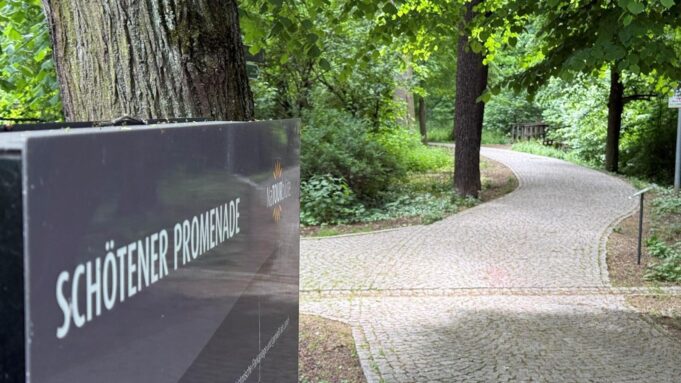 Skargi prawne dotyczące braku rozpatrzenia dla Abody Promenade: „Mam psa na nogach”

