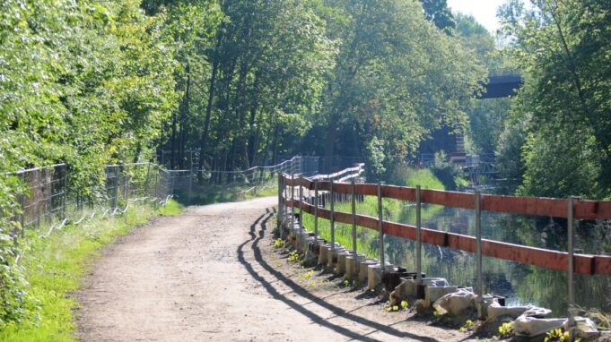 Trailing Trailing Trails i ponownie za darmo

