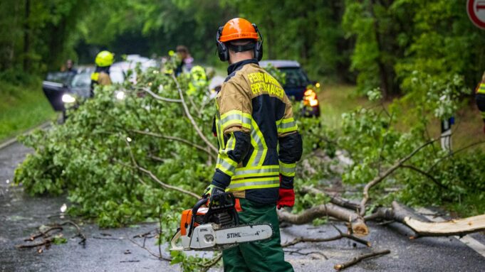 Ulewny deszcz i podmuchy wiatru: poruszanie się na Hessena przed burzą | Hessenschau.de


