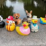 Kaczki znów się powiększają na Matjeswoche