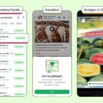 SO: WhatsApp otrzymuje reklamy