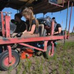Taumschule Krohn walczy o zmiany klimatu i certyfikaty