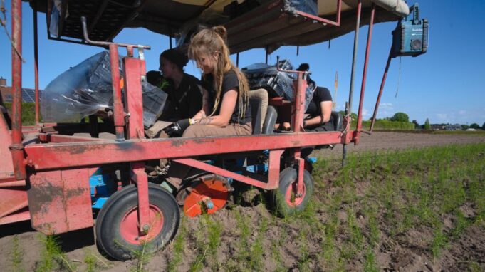 Taumschule Krohn walczy o zmiany klimatu i certyfikaty

