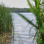 Wiadomości i raporty, które powinieneś wiedzieć. Główny motyw poniedziałkowy