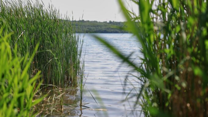 Wiadomości i raporty, które powinieneś wiedzieć. Główny motyw poniedziałkowy

