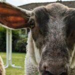 Zbieraj pieniądze dla społeczności i rolników